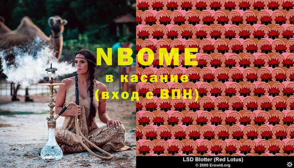 ECSTASY Алзамай
