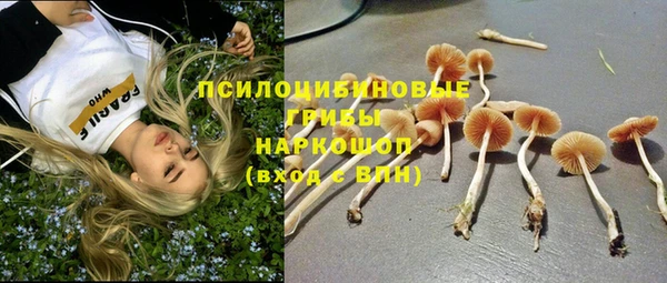 ECSTASY Алзамай