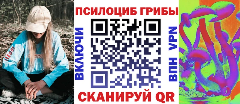 Псилоцибиновые грибы Cubensis  где продают   Сорочинск 