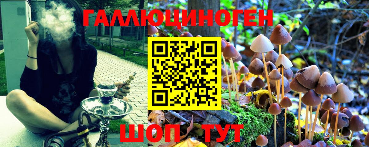 Псилоцибиновые грибы мицелий  Галлюциногенные грибы GOLDEN TEACHER  Вход с VPN  Сорочинск 