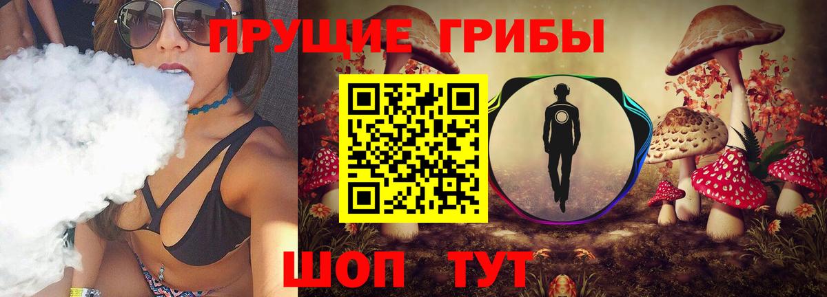 Псилоцибиновые грибы Cubensis Сорочинск