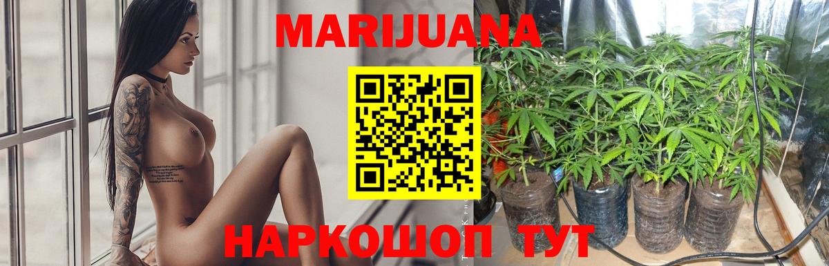 Шишки марихуана план  Вход с VPN  Каннабис индика  Канабис марихуана  Сорочинск  Каннабис SATIVA & INDICA 